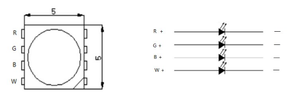 UCS2904 5050RGBW 20段60燈 24V(圖2)