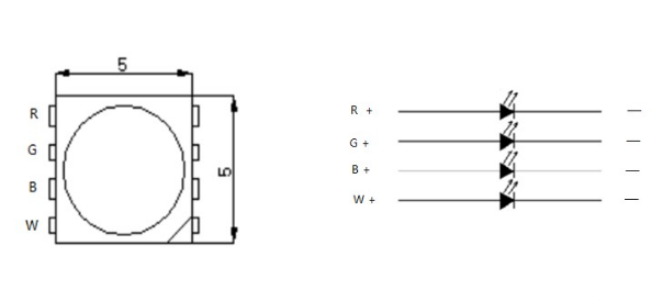 外置TM1814 5050RGBW 20段60燈 12V(圖2)